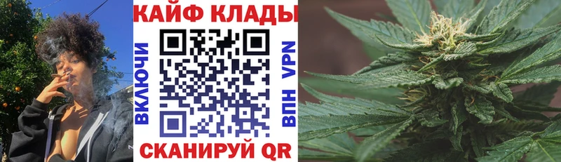 Где купить наркотики Егорьевск Марихуана  MEGA как зайти  КОКАИН  Гашиш  Кетамин  МЕФ  Alpha-PVP 