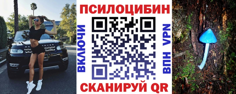 Псилоцибиновые грибы мицелий  Егорьевск 