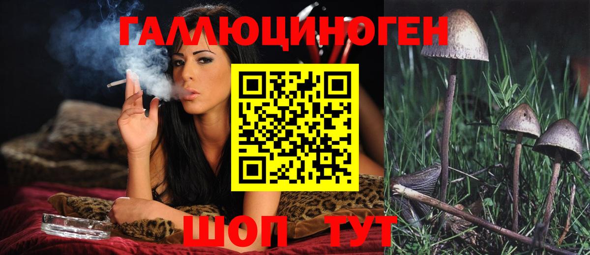 МЕФ Егорьевск